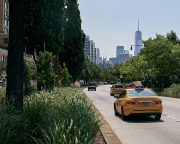 Yellow Taxi