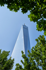 Green Frame WTC