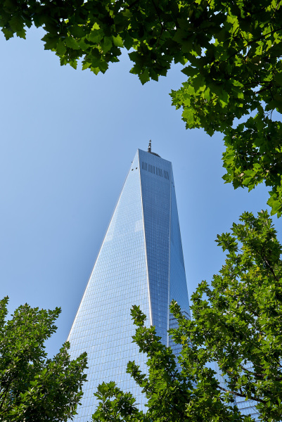 Green Frame WTC