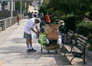 Homeless Cart