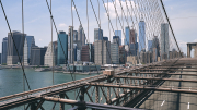 Bridge Support