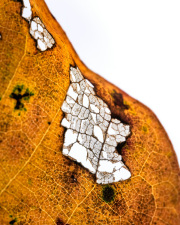 DSC_4698Sep-24-20220
