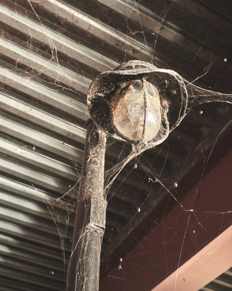 Web Light