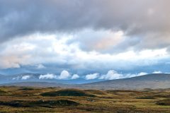 Rugged Landscape