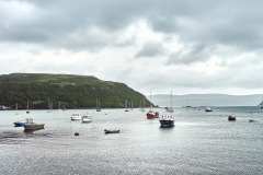 Harbor Boats