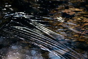 Icy Textures