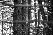 DSC_0215Oct-15-20250