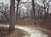 Listless Path