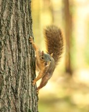 DSC_0249Oct-15-20250