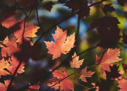 DSC_0380Oct-16-20250