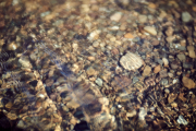Creek Bed Rocks