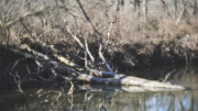 Partial Submersion