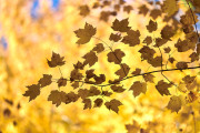 DSC_0411Oct-16-20250