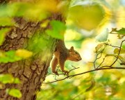 DSC_0452Oct-16-20250