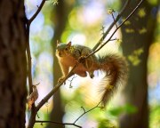 DSC_0462Oct-16-20250