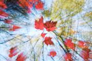 DSC_0633Oct-31-20250
