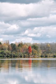 DSC_0714Oct-31-20250
