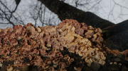 DSC_1862Jan-02-20230