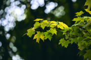 DSC_3392Jul-27-20240