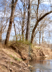 DSC_3835Apr-07-20220