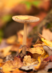 DSC_5613Oct-26-20210