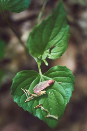DSC_5644May-09-20220