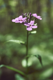 DSC_5851May-09-20220