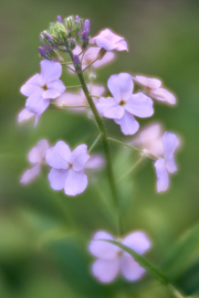 DSC_6099May-12-20220