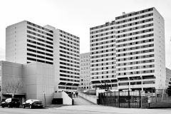 DSC_7546