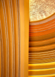 Shades Of Yellow