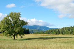 Cades Cove Serenity