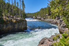 White Noise of the Wild