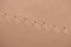 Soft Impressions