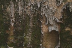 Whispering Walls of Hocking