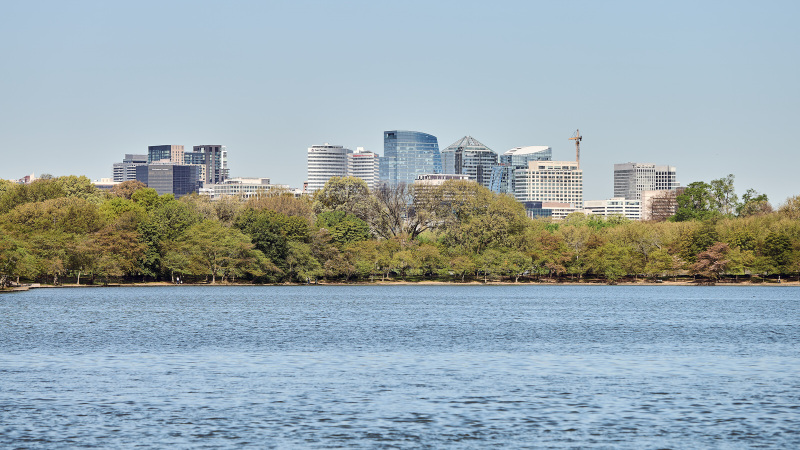 Arlington Skyline