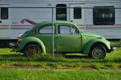 Green Beetle