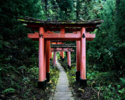 Old Meets New in Kyoto: Tea Traditions and Trains Through Time