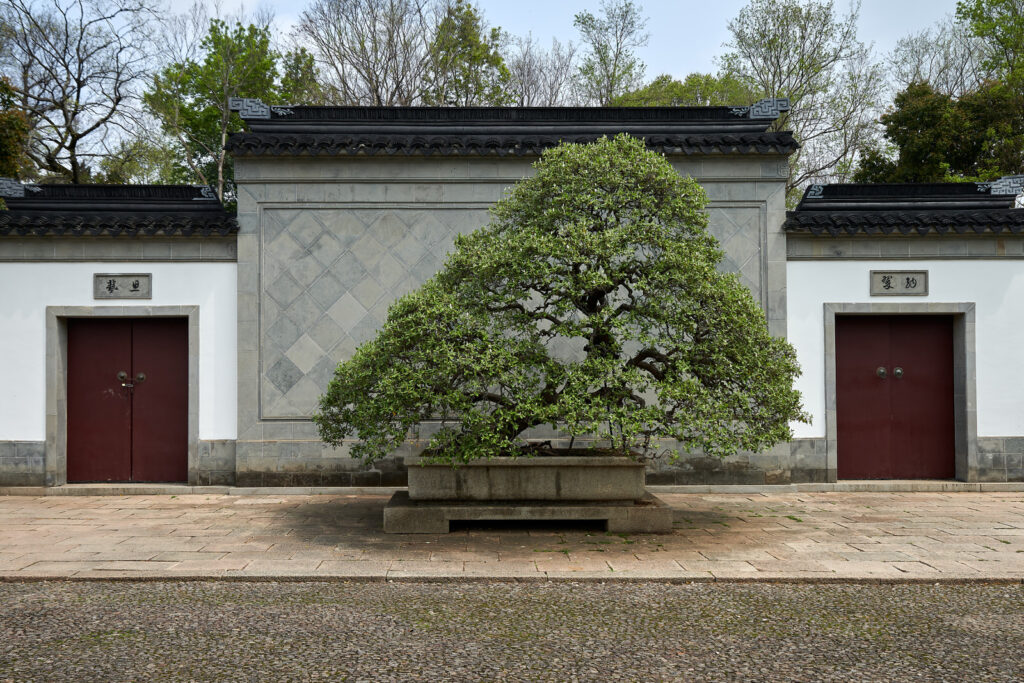 DSC_3260Apr 26 20260