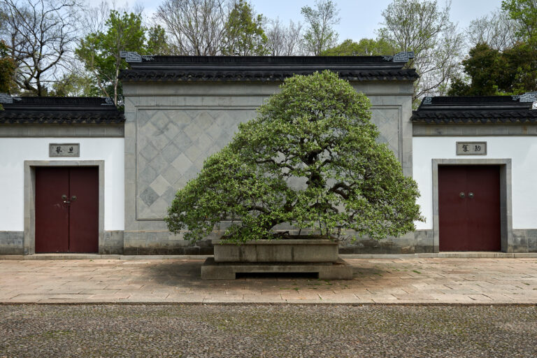Suzhou