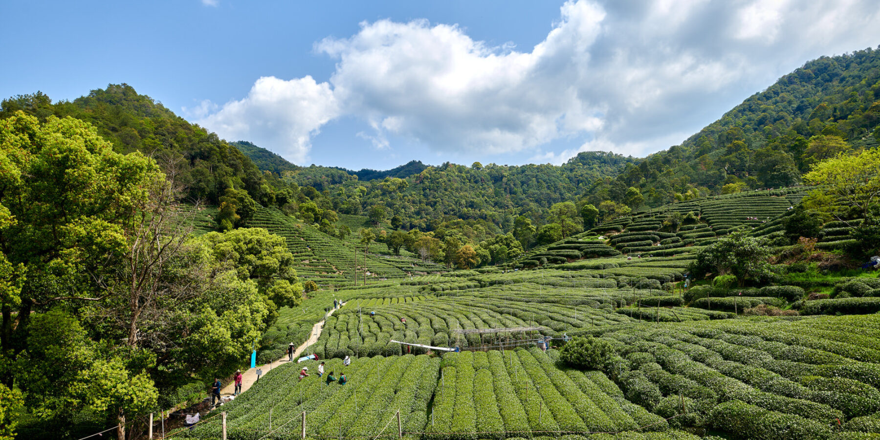 A Living Painting: Hangzhou